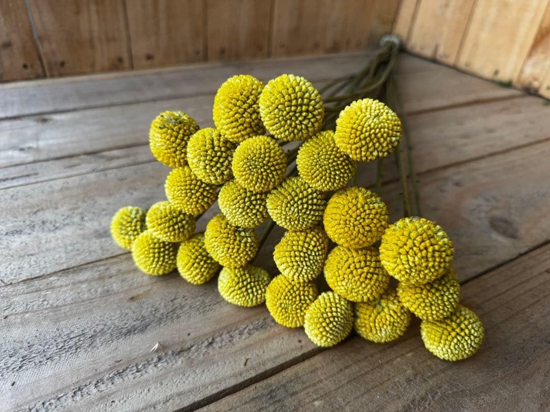 ロイヤルコペンハーゲン　レアな貫入り手書きの花束が書かれたボール！素敵です！ ロイヤルコペンハーゲン な貫入り手書きの花束が書かれたボール 素敵